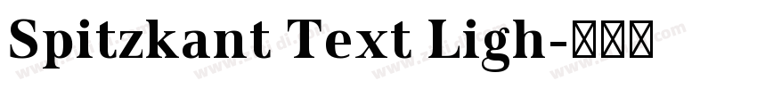 Spitzkant Text Ligh字体转换